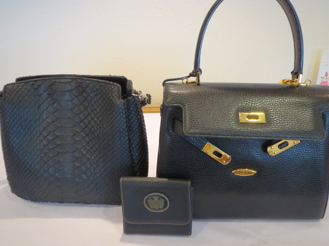 テストーニ　バッグ・サイフ　パイソンバッグ